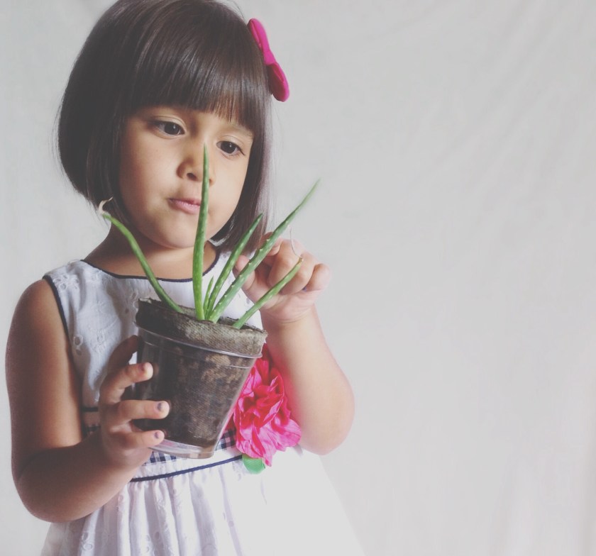 DIY white background photos