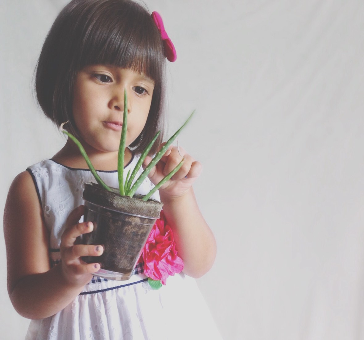 DIY white background photos