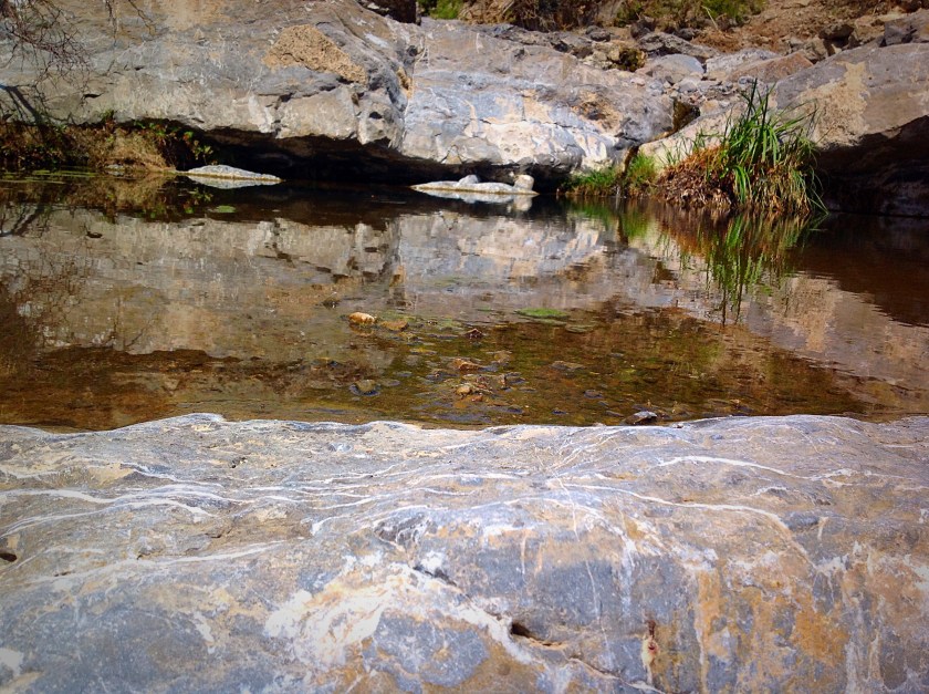 Chihuahuan Desert somewher in Chihuahua Mexico