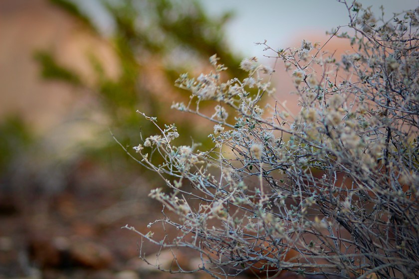 8289740f-c600-4313-88fe-d36a774026ee