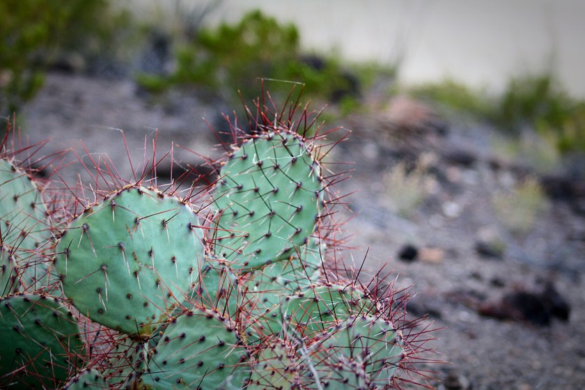 b271f966-f064-4362-b8c2-60155dc408b1