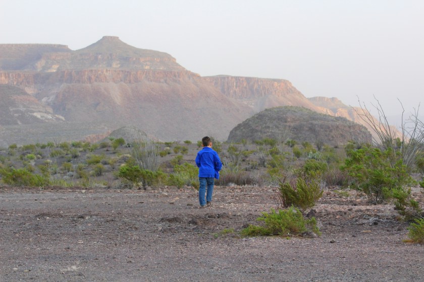 c336723c-75ae-40f8-a13c-9bd1b2aa565f